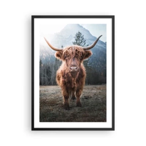 Poszter fehér keretben - Skót felföldi tehén fenséges hegyekkel a háttérben - 50x70cm - Üdvözlet a hegyi rétről - Modern fali dekoráció nappalihoz és hálószobához ARTTOR