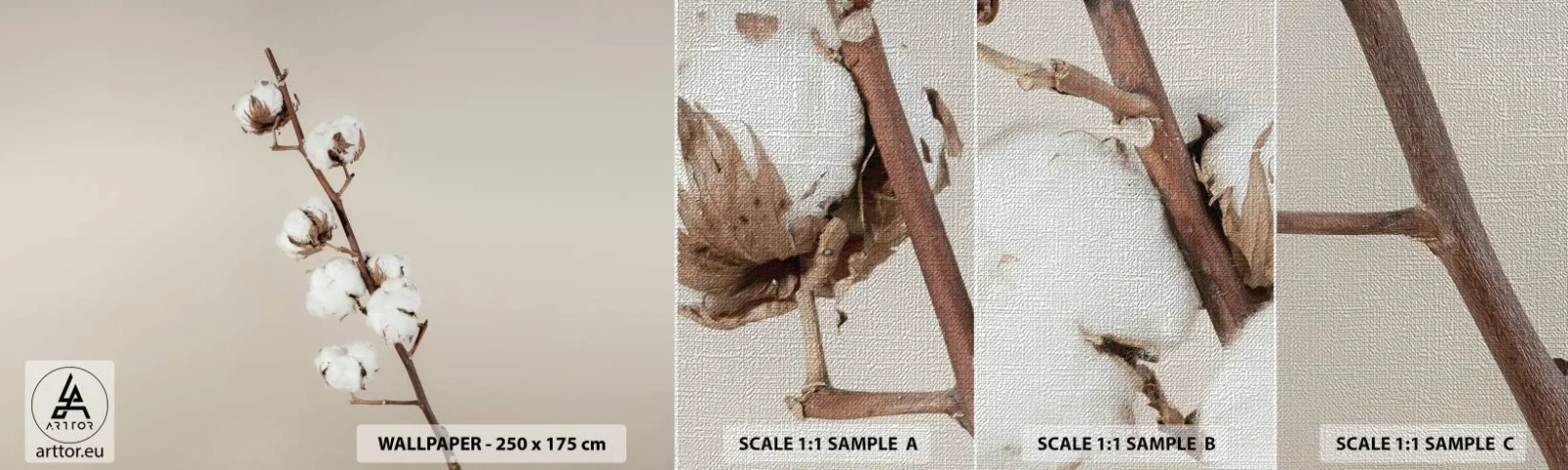 Fotótapéta Minta Premium Canvas - A puhaság forrásánál - Pamut Virág, Természet, Pamut - 100x30 cm