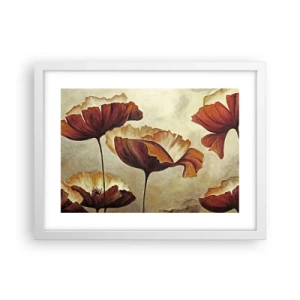 Poszter fekete keretben - Rét - 40x30 cm