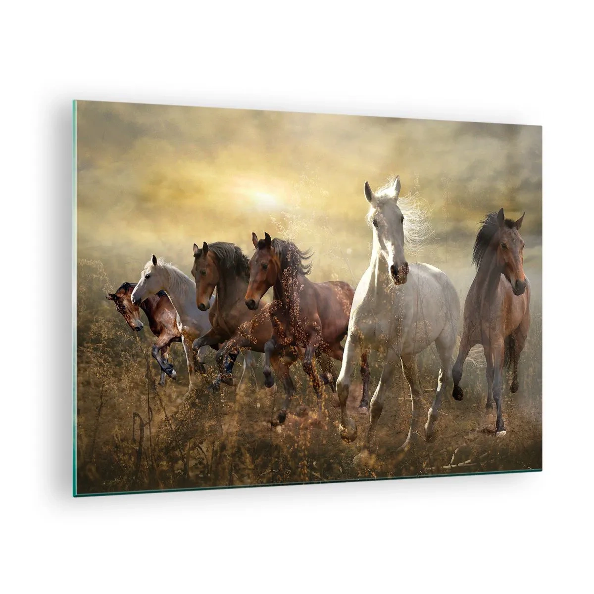 Üveg kép - Egy lócsordát vágtatva a lenyugvó nap sugaraiban - 70x50cm - Éljen a szabadság! - Modern fali dekoráció nappalihoz és hálószobához ARTTOR
