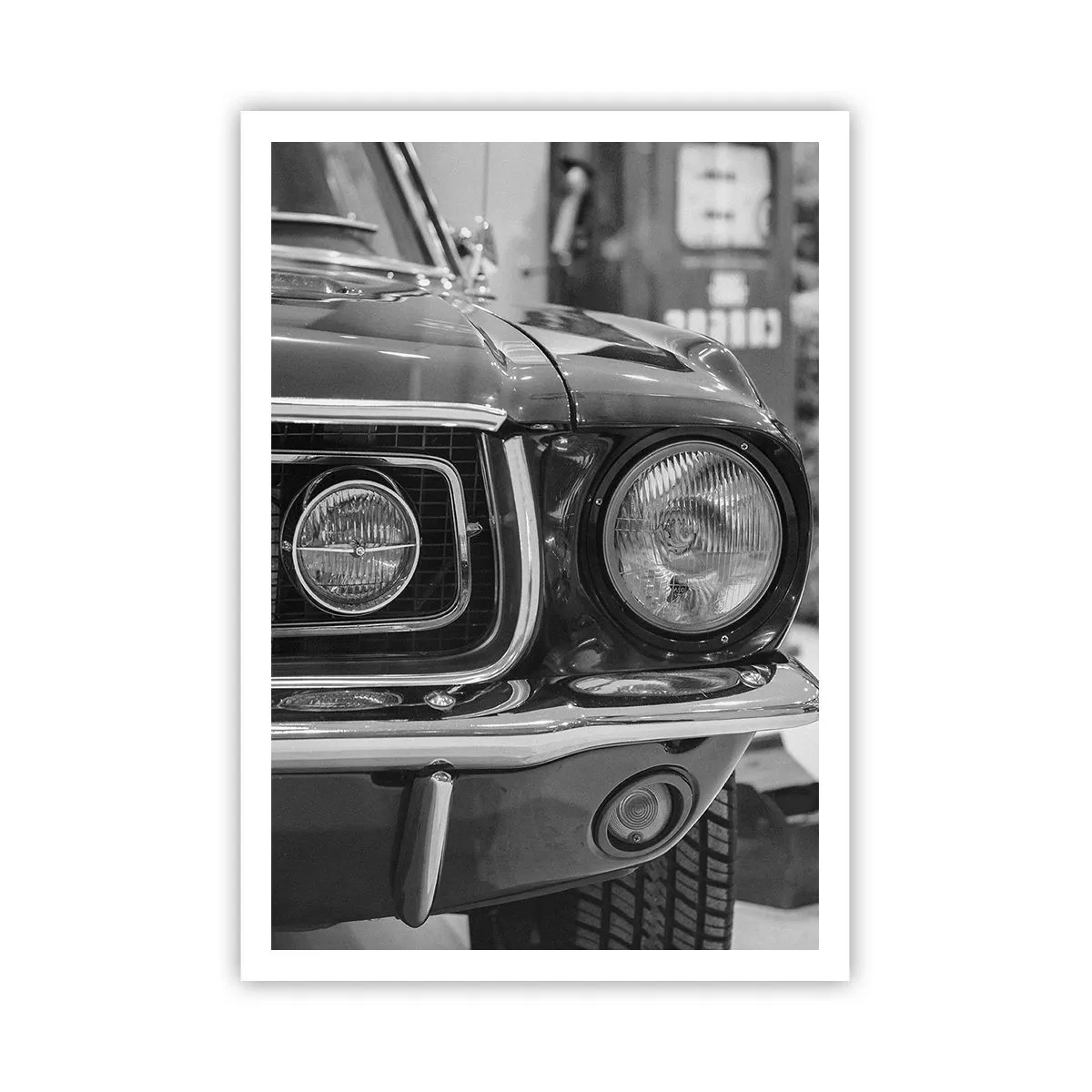 Poszter - Vad utazás - 70x100 cm