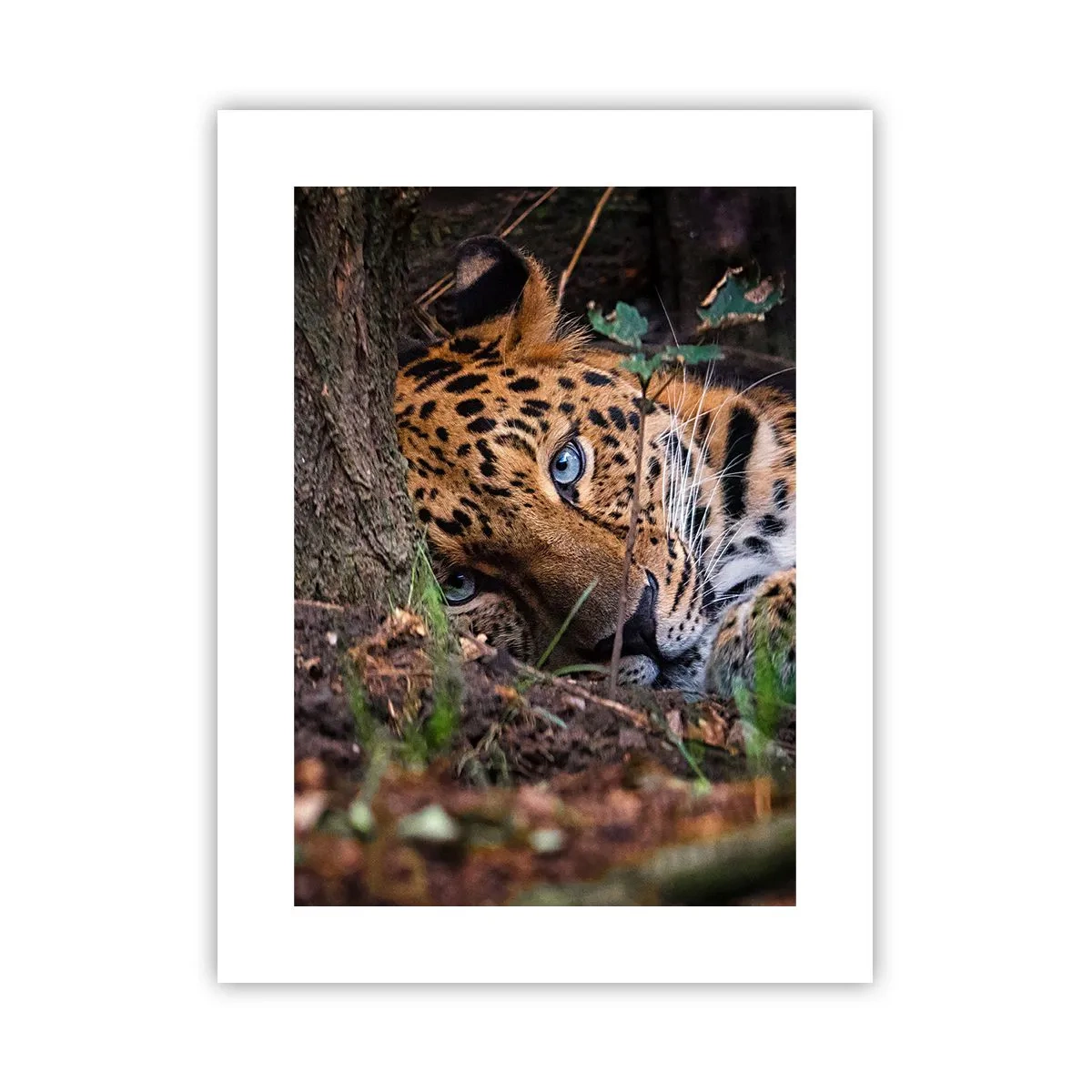 Poszter - Bízz bennem - 30x40 cm