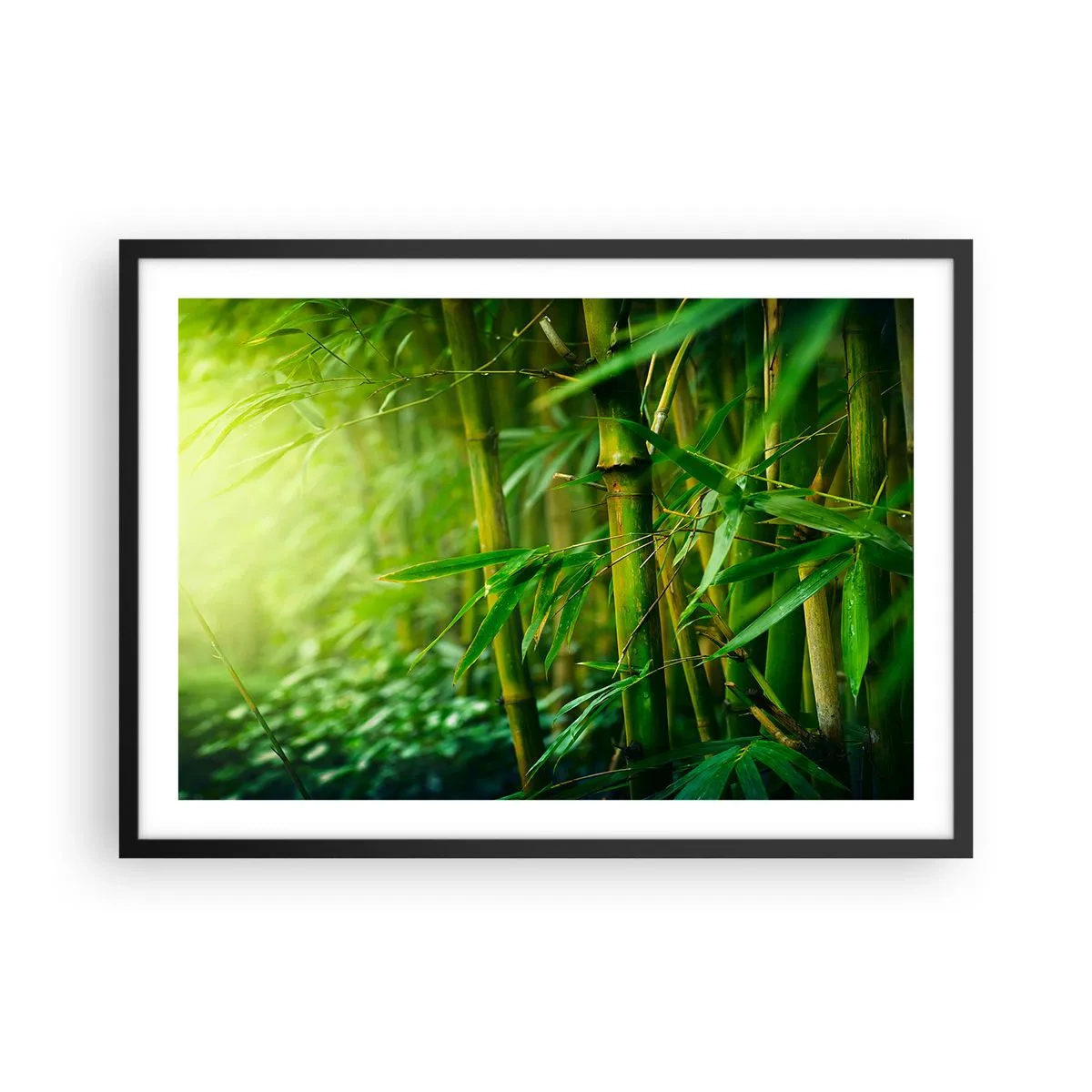 Poszter fehér keretben - Megismerni magát a zöldet - 70x50 cm