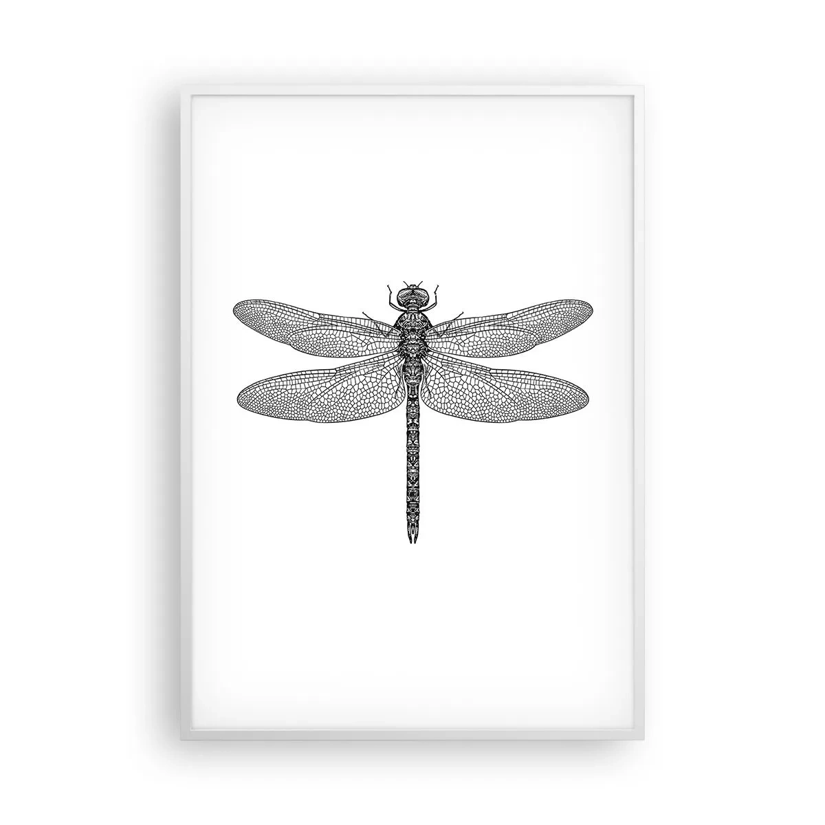 Poszter fekete keretben - A természet precizitása - 70x100 cm