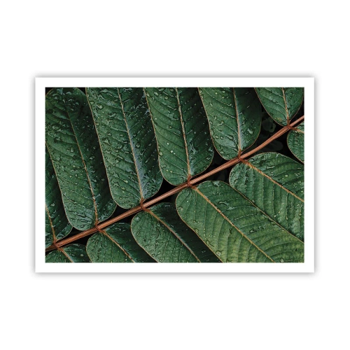 Poszter - Zöld ritmusban - 100x70 cm