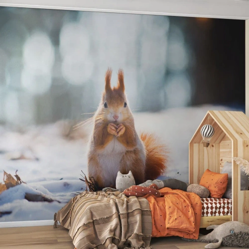 Fotótapéta Standard Eco - Mit nézel? - Állatok, Mókus, Téli - 150x105 cm
