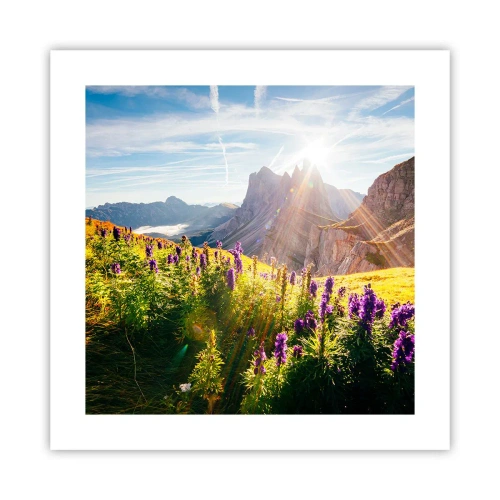 Poszter - A gyógynövények titkos élete - 40x40 cm