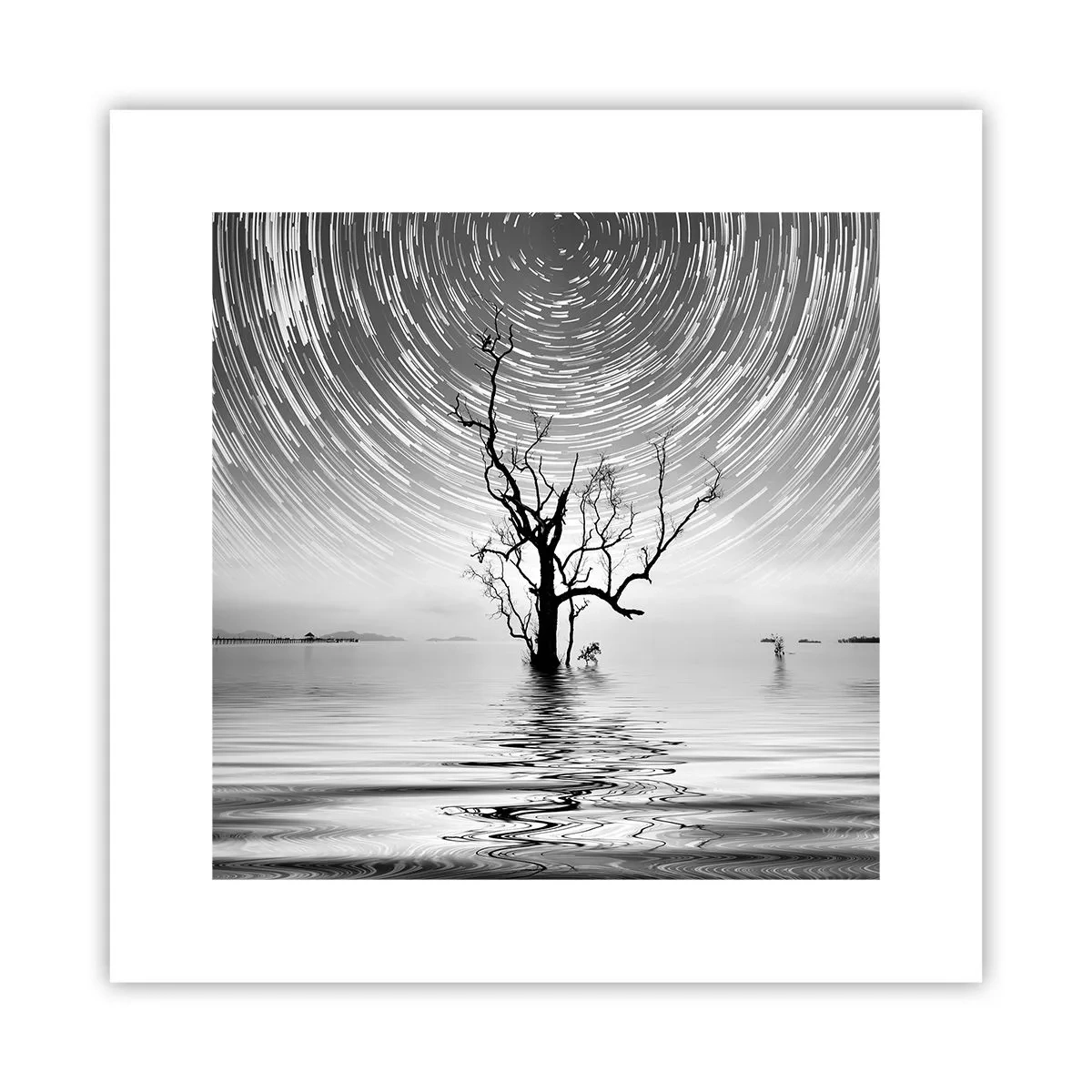 Poszter - A természet szimfóniája - 30x30 cm