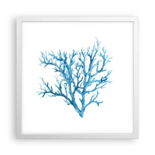 Poszter fekete keretben - Tengeri filigrán - 40x40 cm