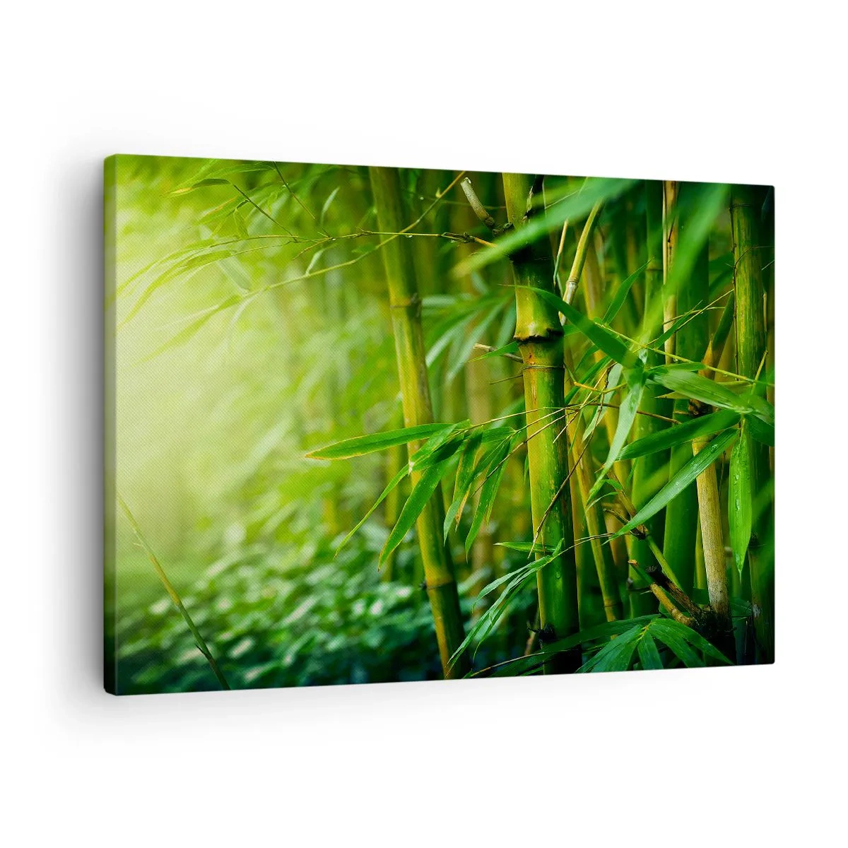 Vászonkép - Zöld bambuszerdő lágy fényben - 70x50cm - Megismerni magát a zöldet - Modern fali dekoráció nappalihoz és hálószobához ARTTOR