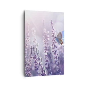 Vászonkép - Pillangó csókja - 80x120 cm