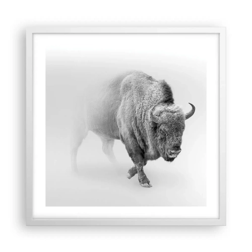 Poszter fekete keretben - A préri királya - 50x50 cm