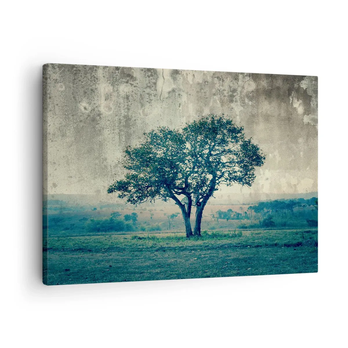 Vászonkép - Egy magányos fa egy ködös táj előtt - 70x50cm - Almafa a kék mezőn? - Modern fali dekoráció nappalihoz és hálószobához ARTTOR