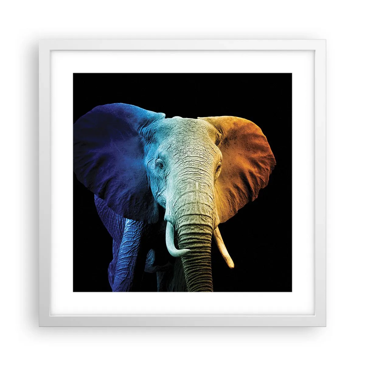 Poszter fekete keretben - Excentrikus, nem különc - 40x40 cm