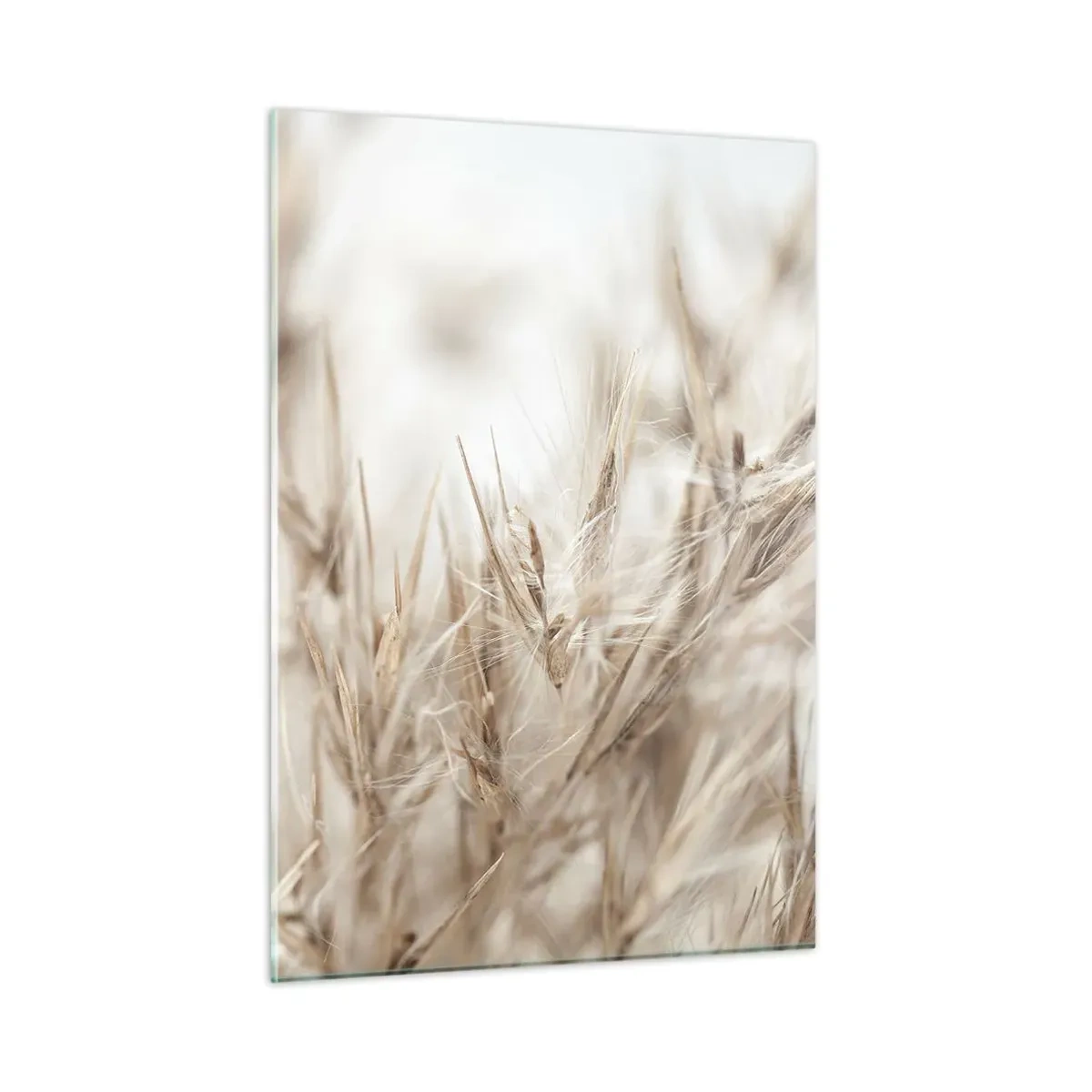 Üveg kép - Mező és szél - 50x70 cm