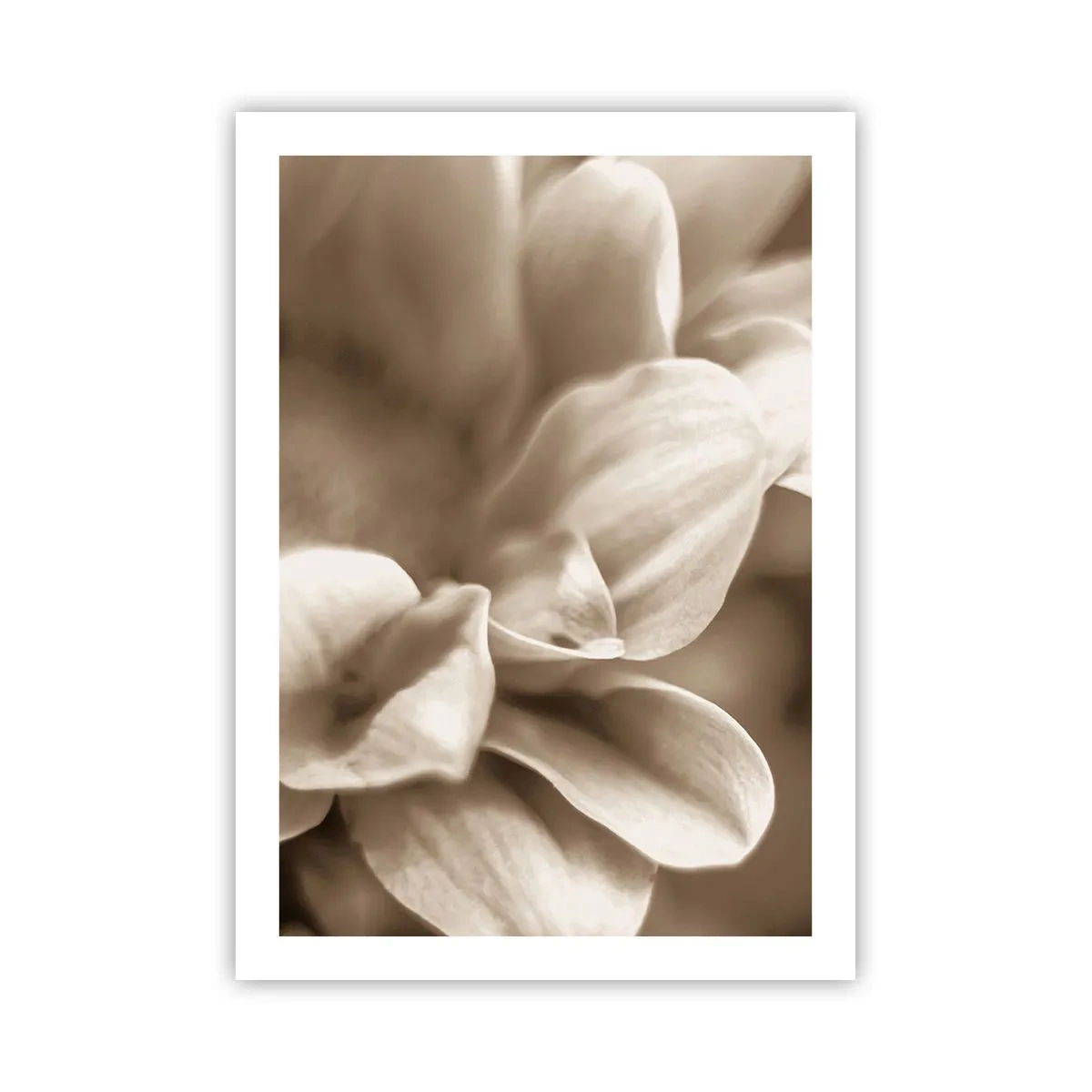 Poszter - Gyengéd, mint egy mosoly - 50x70 cm