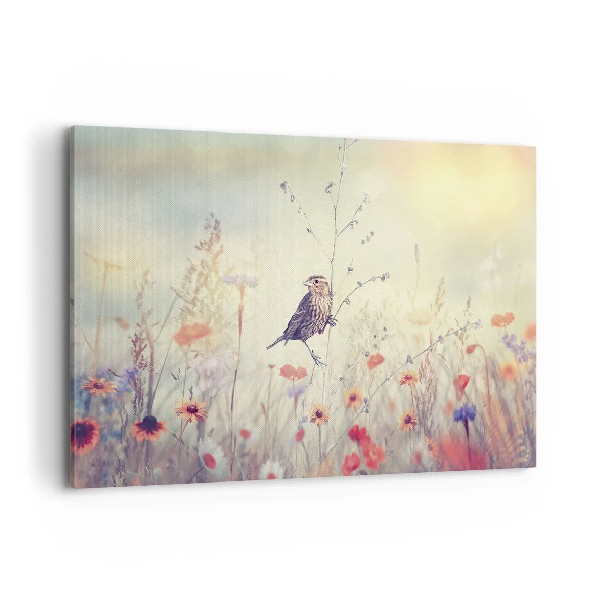 Vászonkép - Madárportré egy réttel a háttérben - 120x80 cm