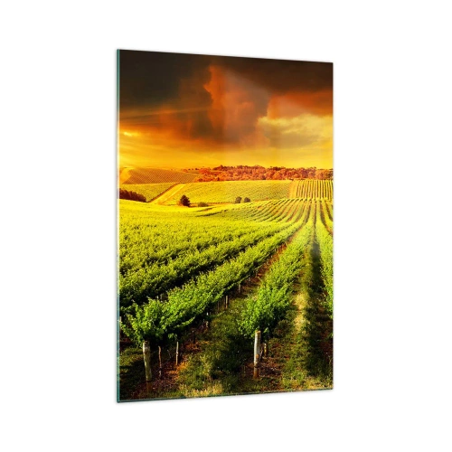 Üveg kép - Ausztrál nap alatt - 70x100 cm