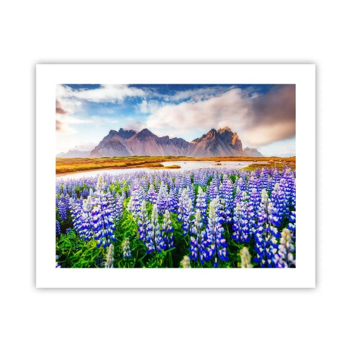 Poszter - Erő és szigorúság a szelídség mellett - 50x40 cm