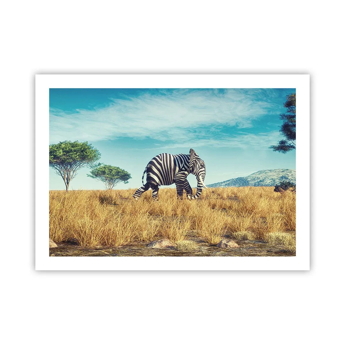 Poszter - A szürke már nem menő - 70x50 cm