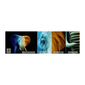 Fotótapéta Minta Standard Eco - Excentrikus, nem különc - Absztrakció, Elefánt, Állatok - 100x30 cm