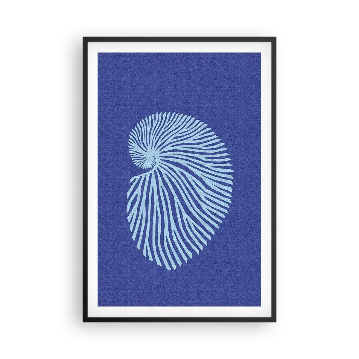 Poszter fehér keretben - Egy kagyló születése - 61x91 cm