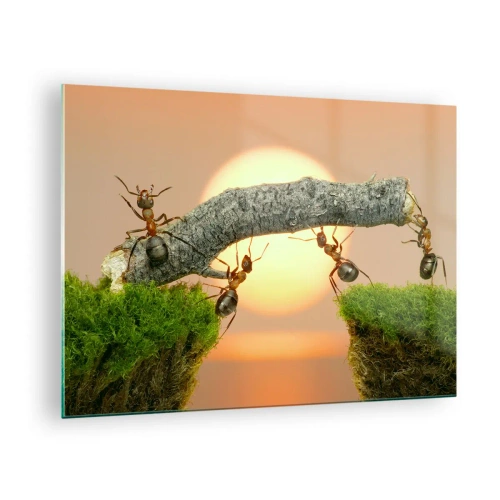 Üveg kép - Hangyák hidat építenek naplementekor - 70x50cm - Boldog, közös munka - Modern fali dekoráció nappalihoz és hálószobához ARTTOR