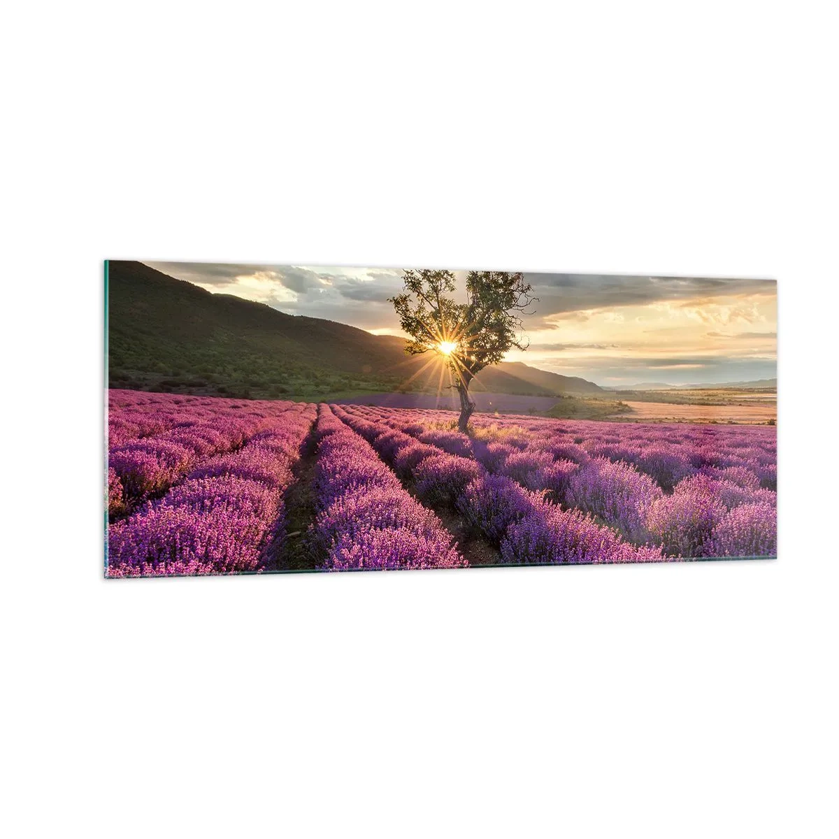Üveg kép - Lila színű illat - 100x40 cm