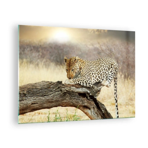 Üveg kép - Egy leopárd pihen egy faágon - 70x50cm - A magam útjait járom - Modern fali dekoráció nappalihoz és hálószobához ARTTOR