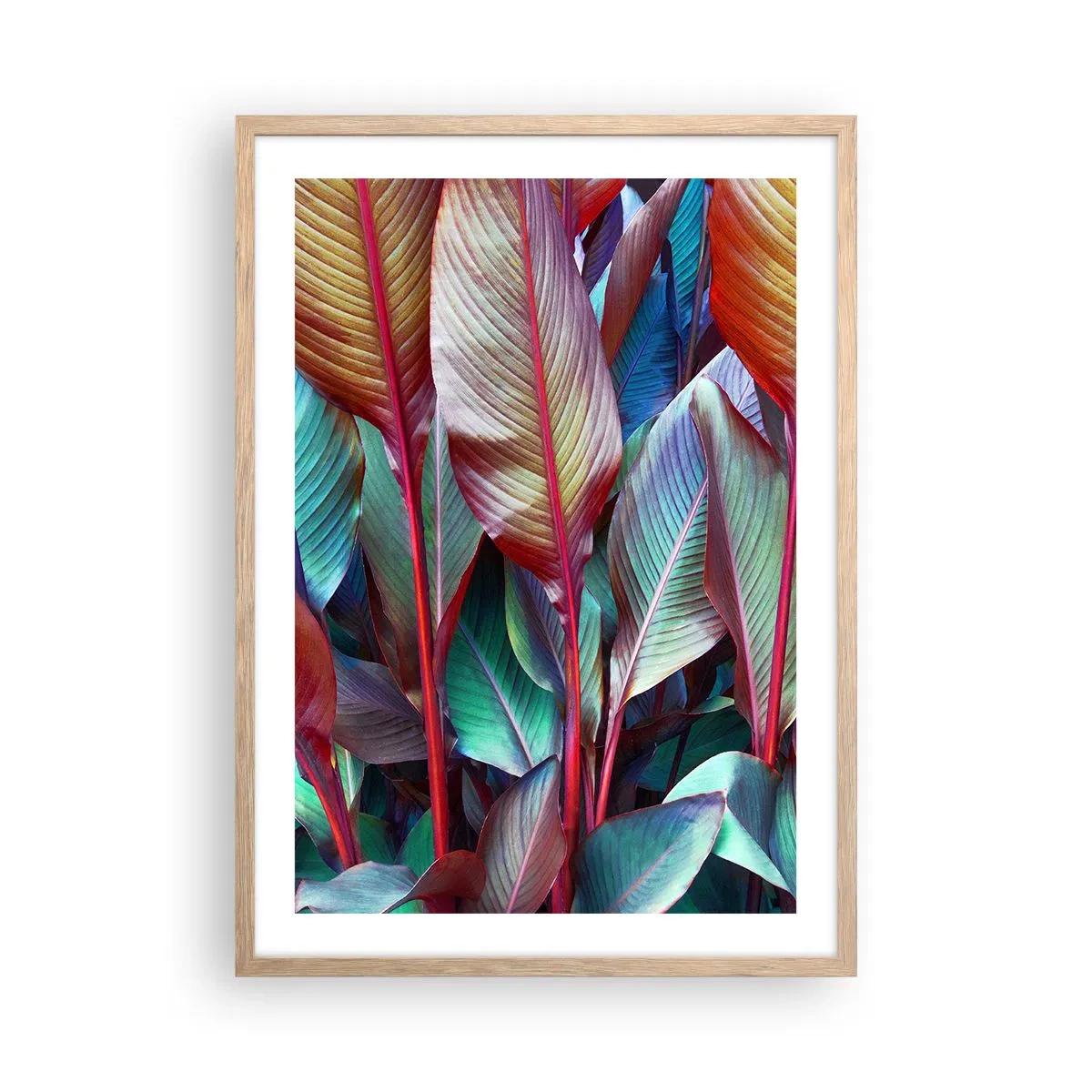 Poszter világos tölgy keretben - Egy színes sűrű - 50x70 cm