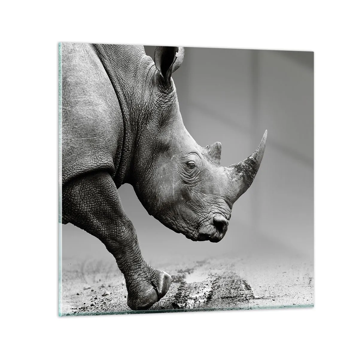 Üveg kép - Megállíthatatlan erő - 30x30 cm