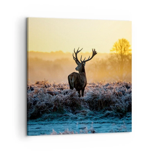 Vászonkép - Megkoronázott a birtokán - 60x60 cm