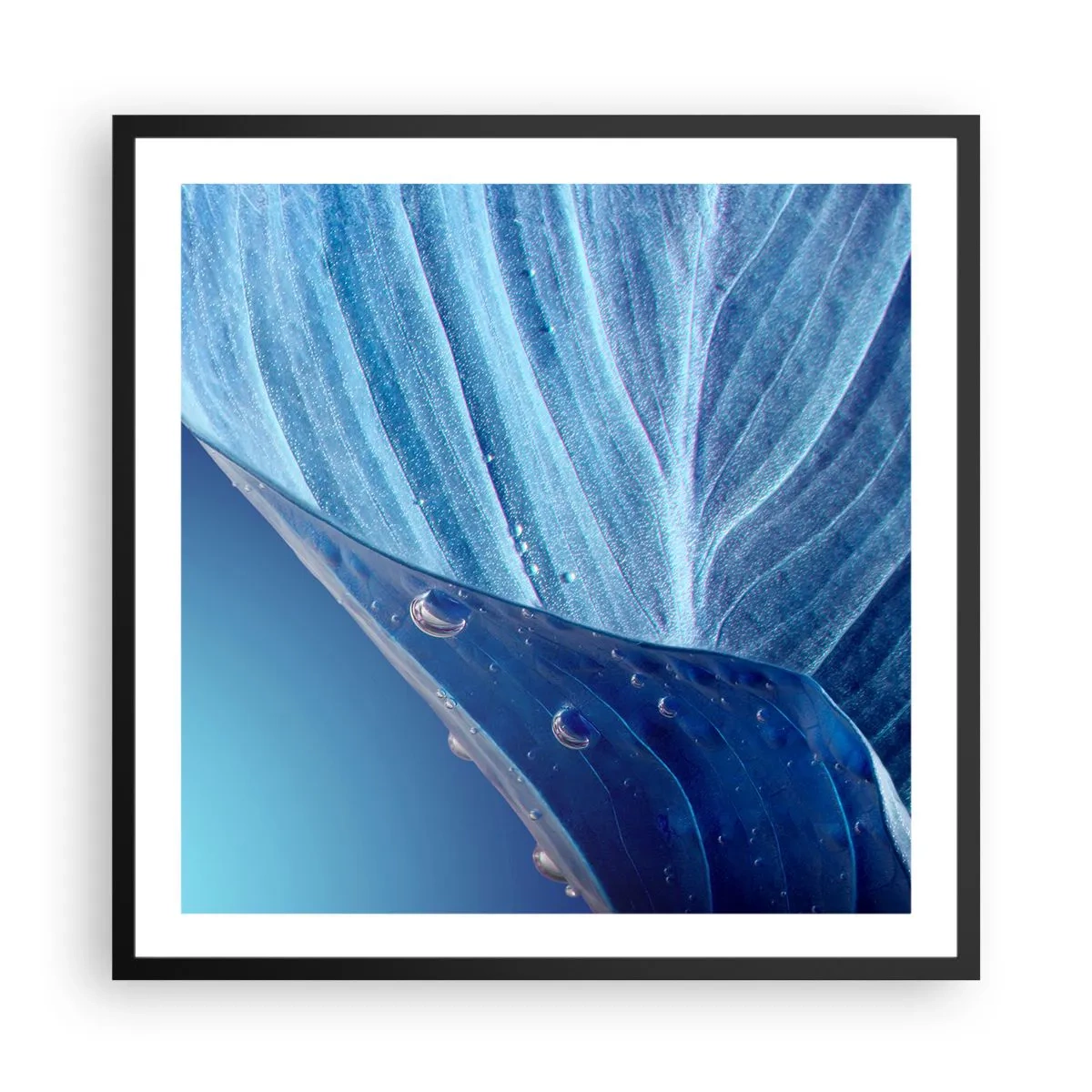 Poszter fehér keretben - A kék rejtett cseppjei - 60x60 cm