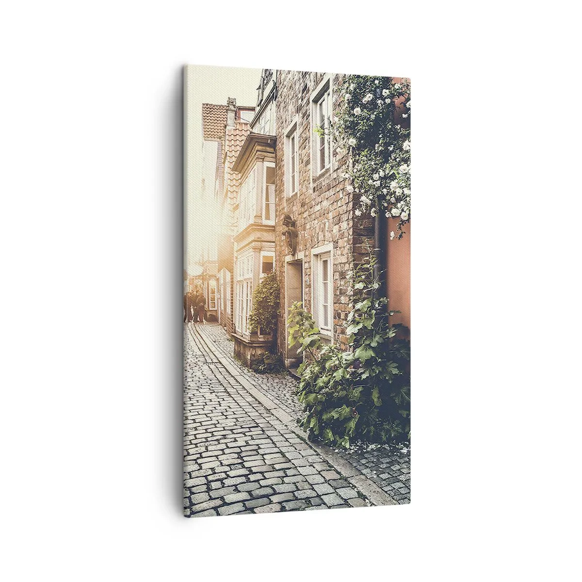 Vászonkép - Rózsa sikátor rózsaszín fényben - 45x80 cm