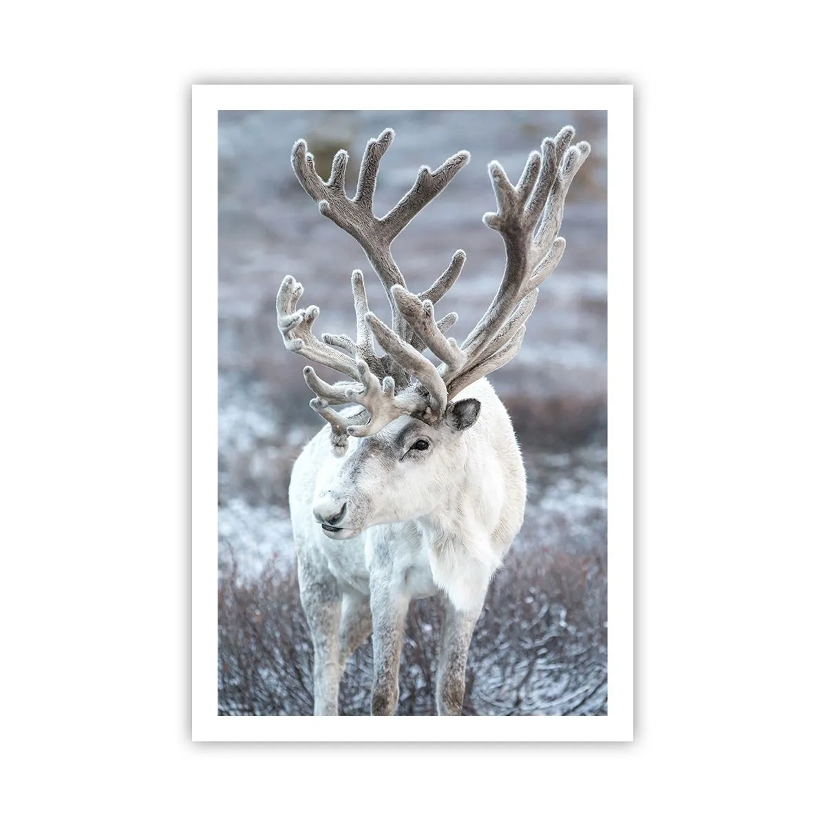 Poszter - Portré a napon - 61x91 cm