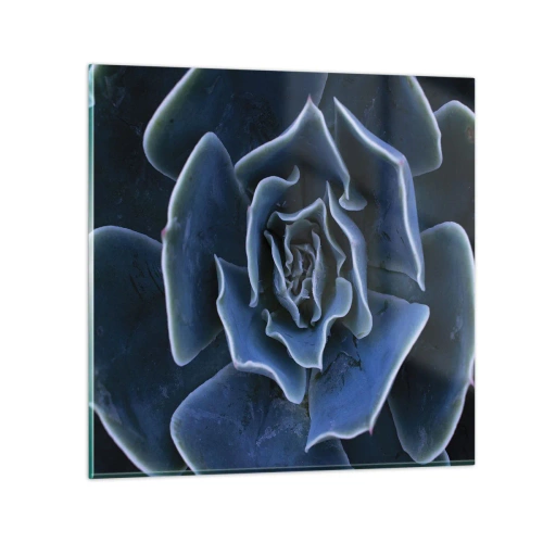 Üveg kép - A sivatag virága - 70x70 cm