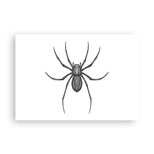 Poszter - Zavaró precizitás - 100x70 cm