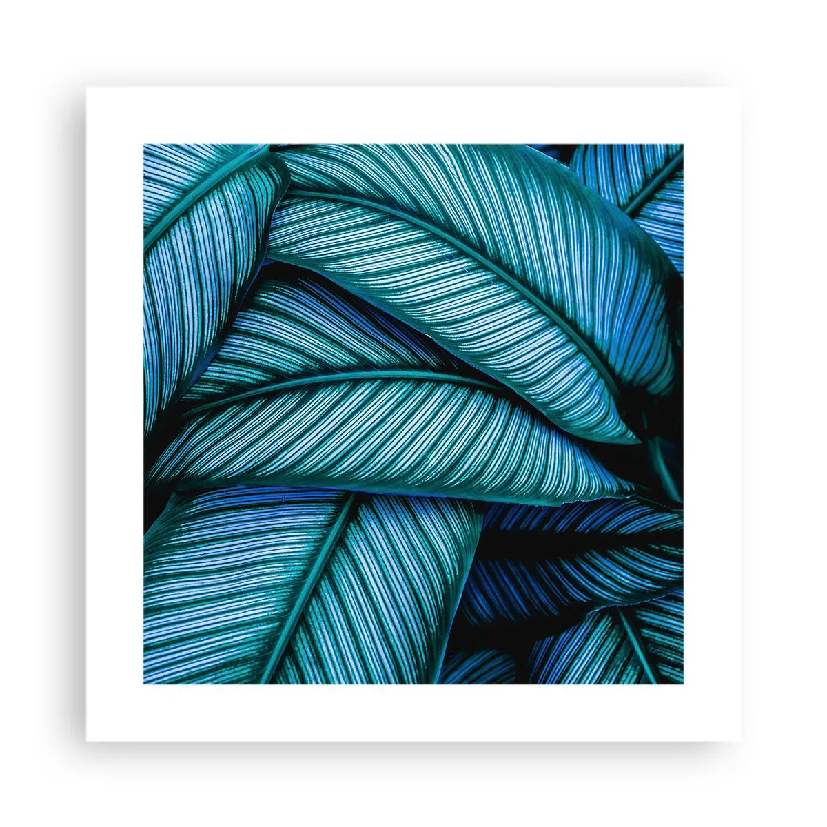 Poszter - Életvonalak - 40x40 cm