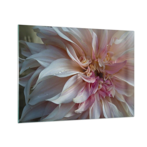 Üveg kép - Rózsaszín és krémszínű virág közeli képe vízcseppekkel - 70x50cm - Virágzó frissesség - Modern fali dekoráció nappalihoz és hálószobához ARTTOR