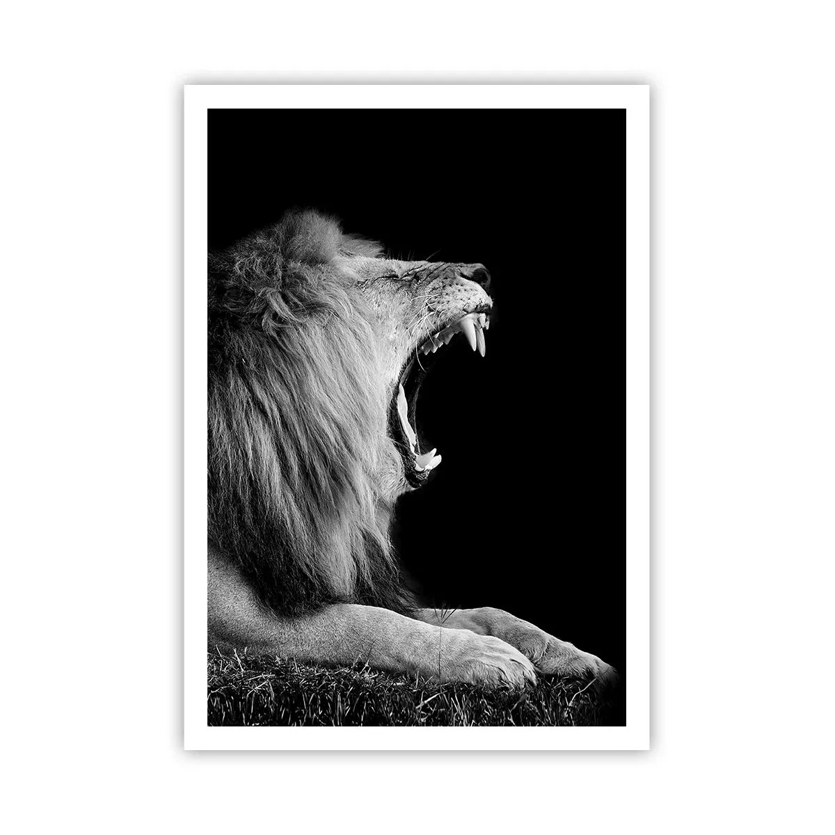 Poszter - Kétség nélkül - 70x100 cm