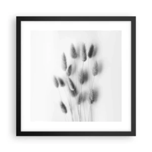 Poszter fehér keretben - A bolyhos fű - 40x40 cm
