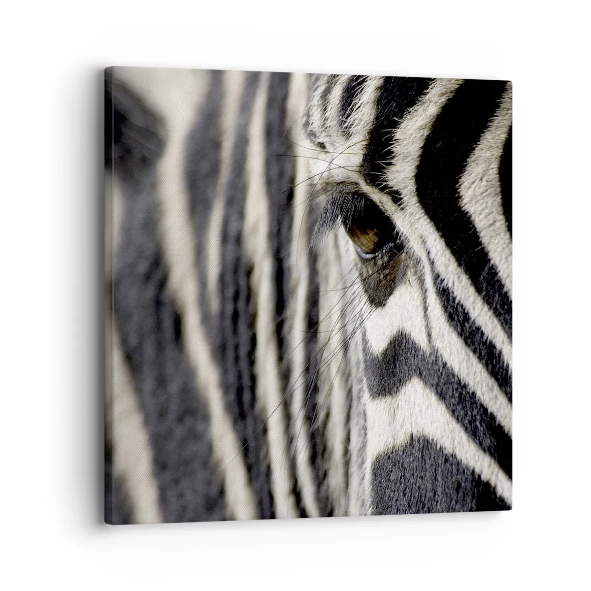 Vászonkép - Csíkos portré - 30x30 cm