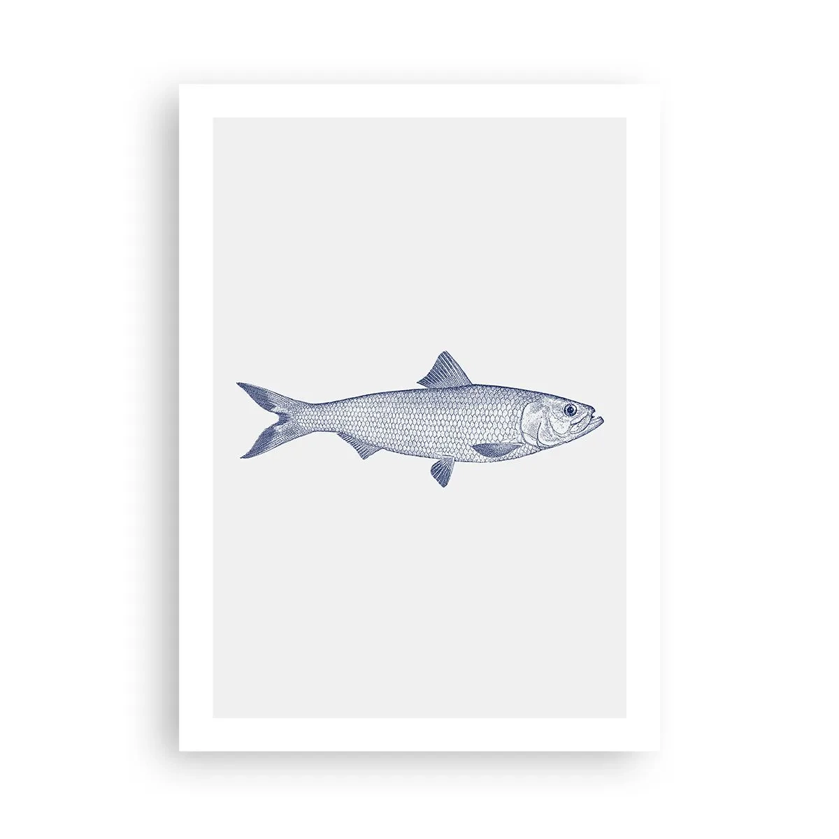 Poszter - Üdvözlet az északi tengerektől - 50x70 cm