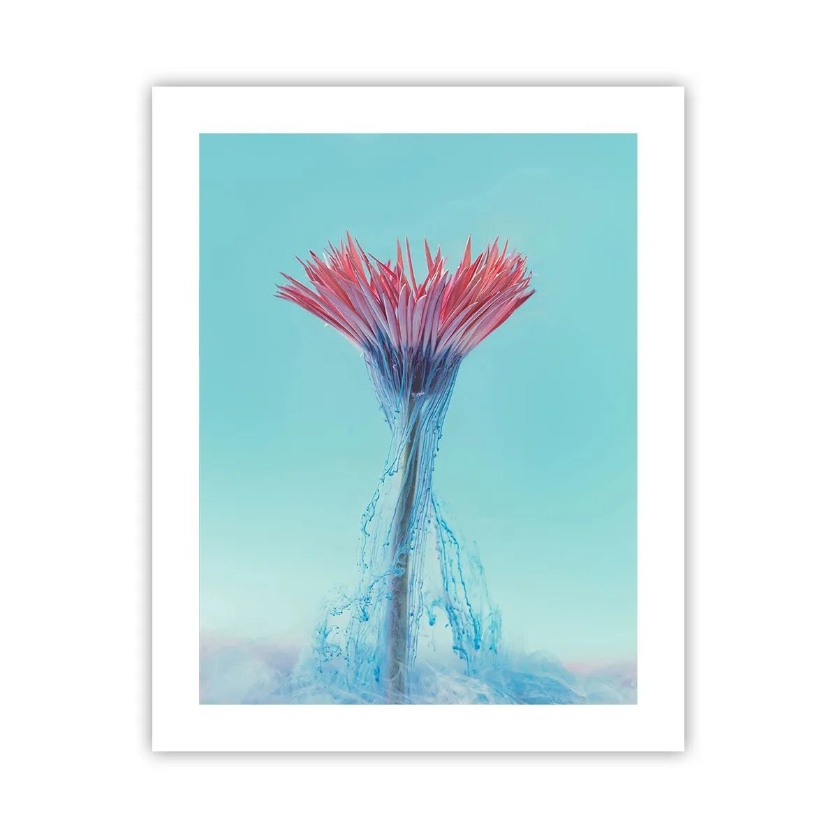 Poszter - Élénkítő ölelésben - 40x50 cm