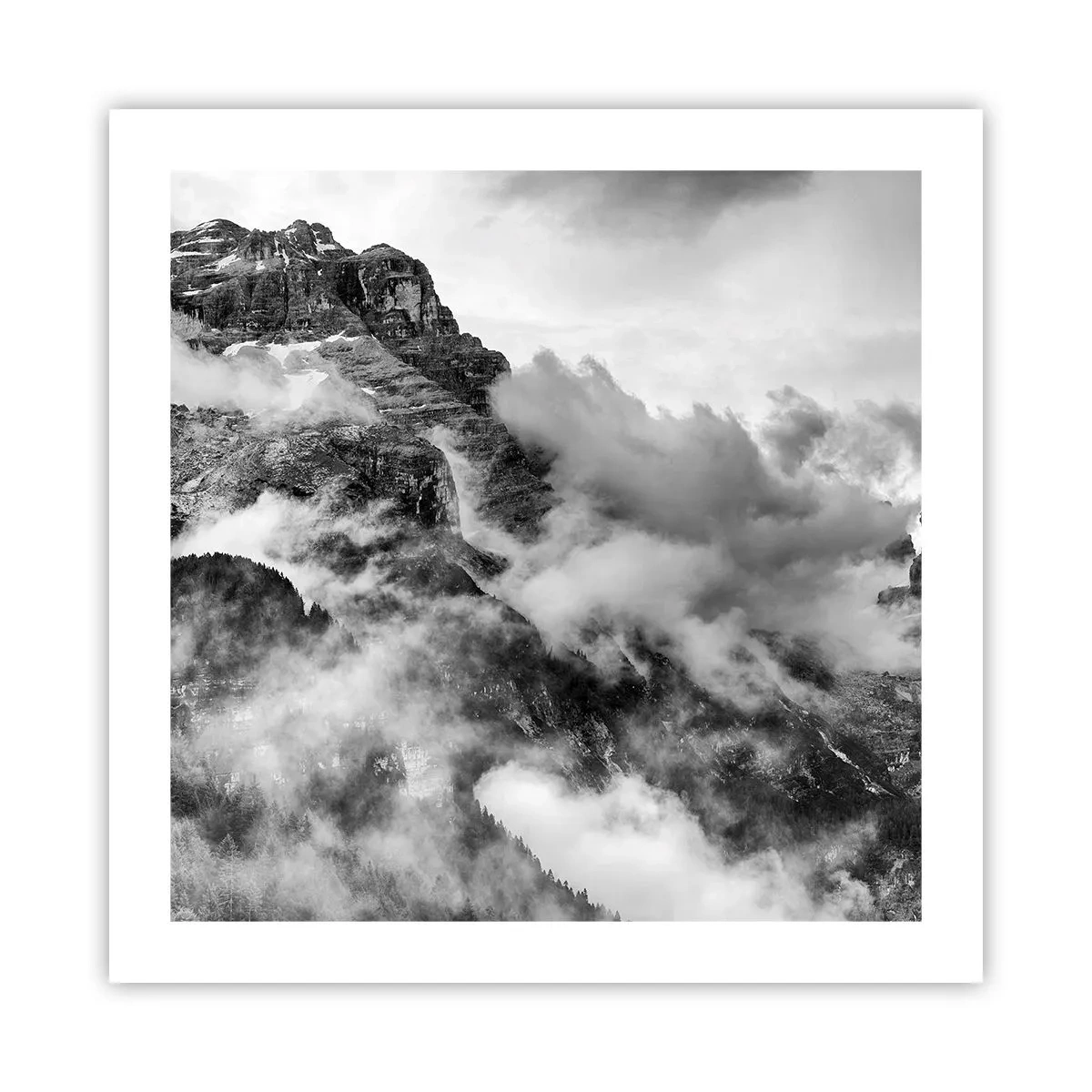 Poszter - Gyönyörű és kegyetlen - 50x50 cm