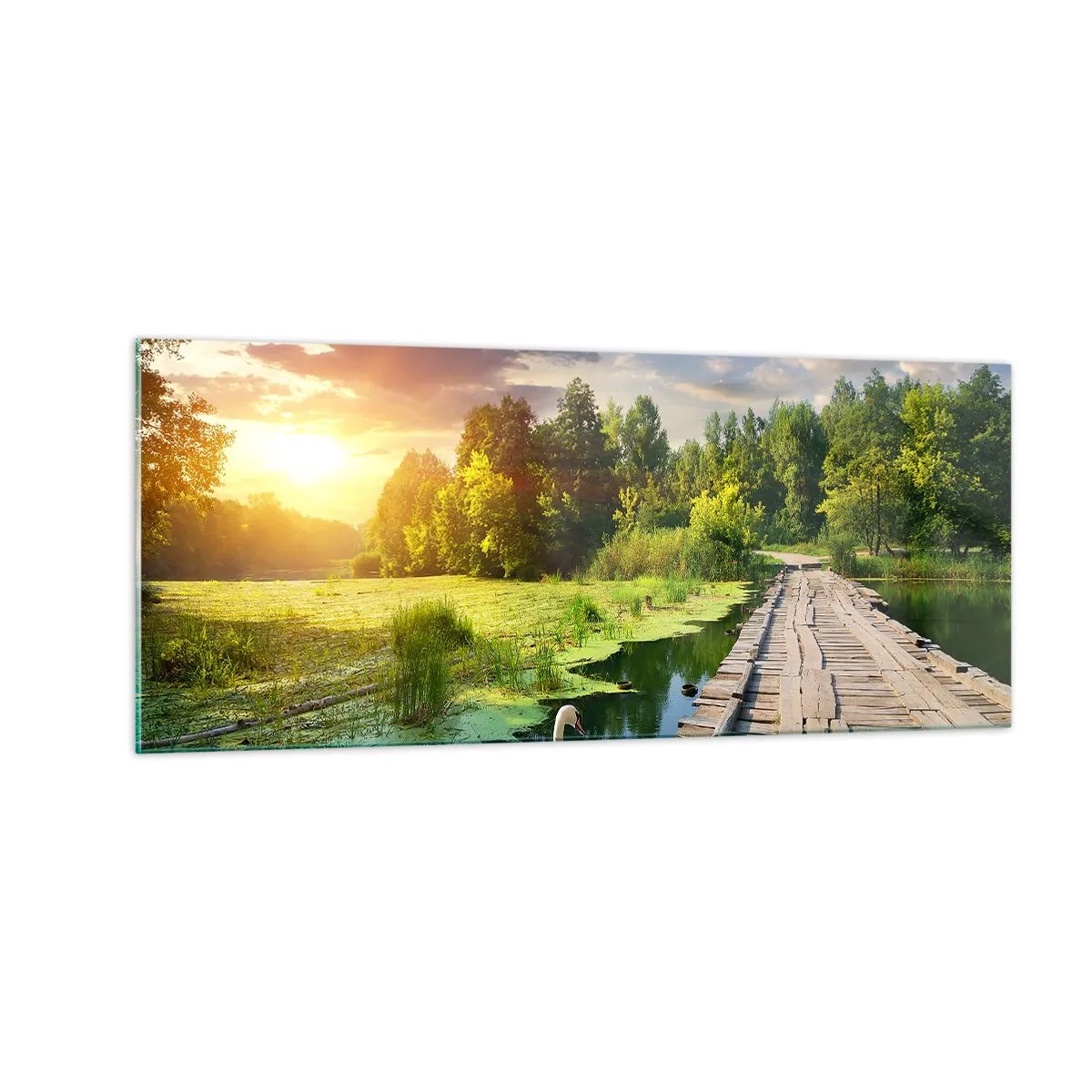 Üveg kép - Nyár, mindenhol nyár - 100x40 cm