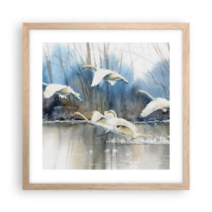 Poszter világos tölgy keretben - Mint a vadhattyúkról szóló mesében - 40x40 cm