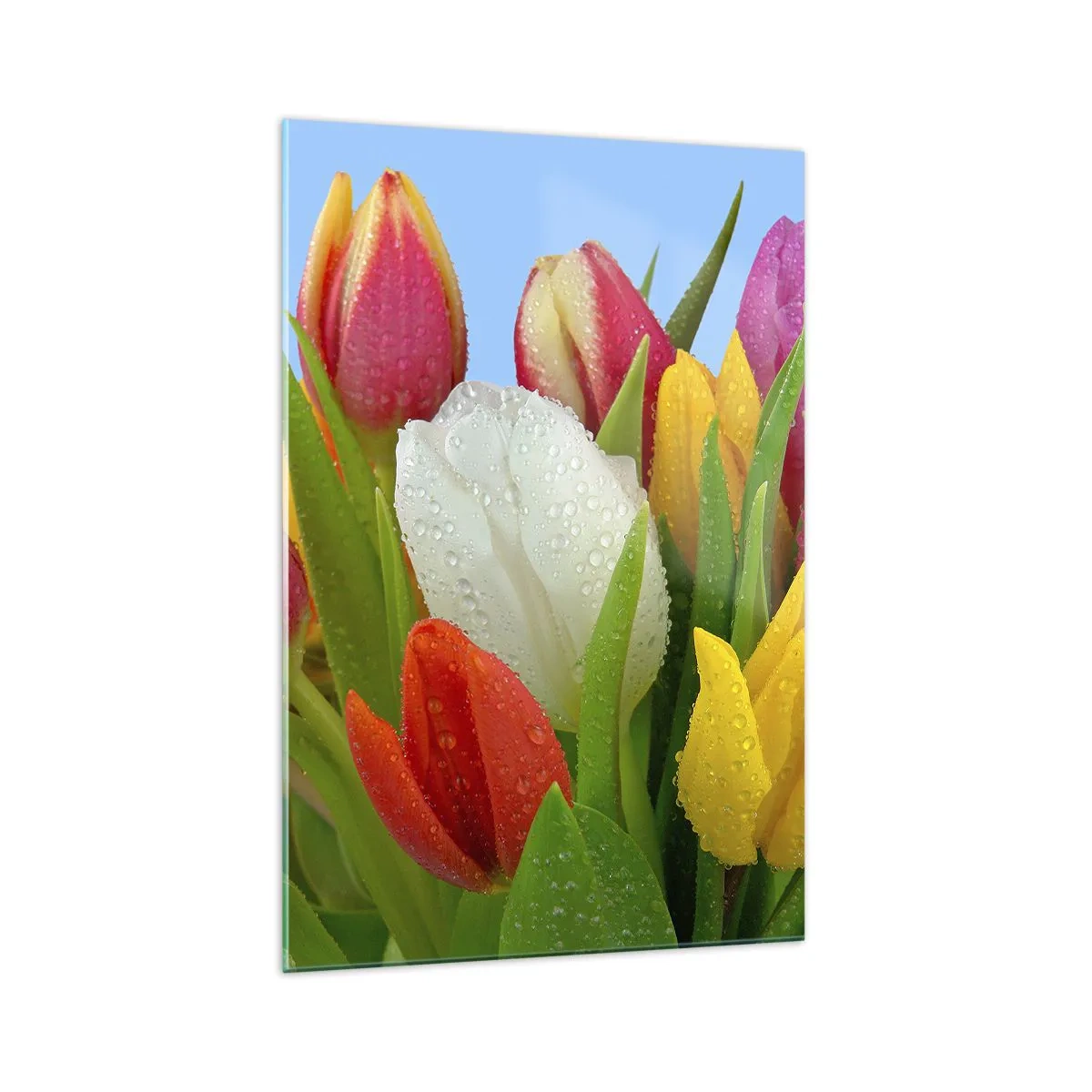 Üveg kép - Virágos szivárvány harmatcseppekben - 70x100 cm