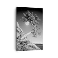 80x120 cm | Függőleges