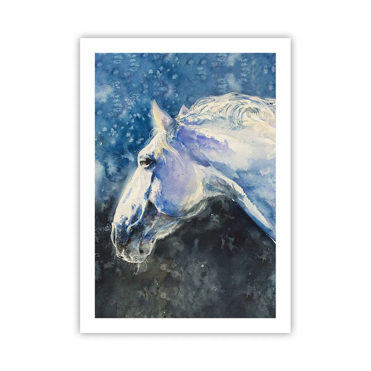 Poszter - Portré kék fényben - 50x70 cm